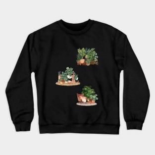 House plants in pots Crewneck Sweatshirt